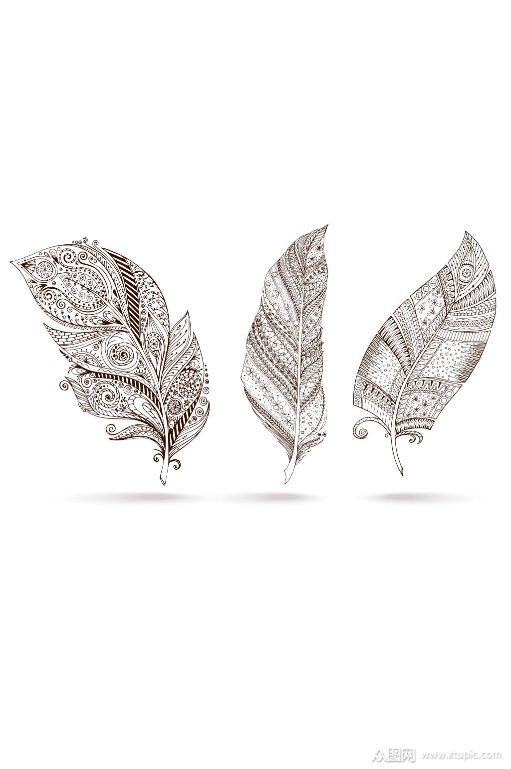 3款手绘花纹羽毛矢量素材