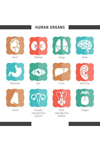 12款人体器官图标矢量素材