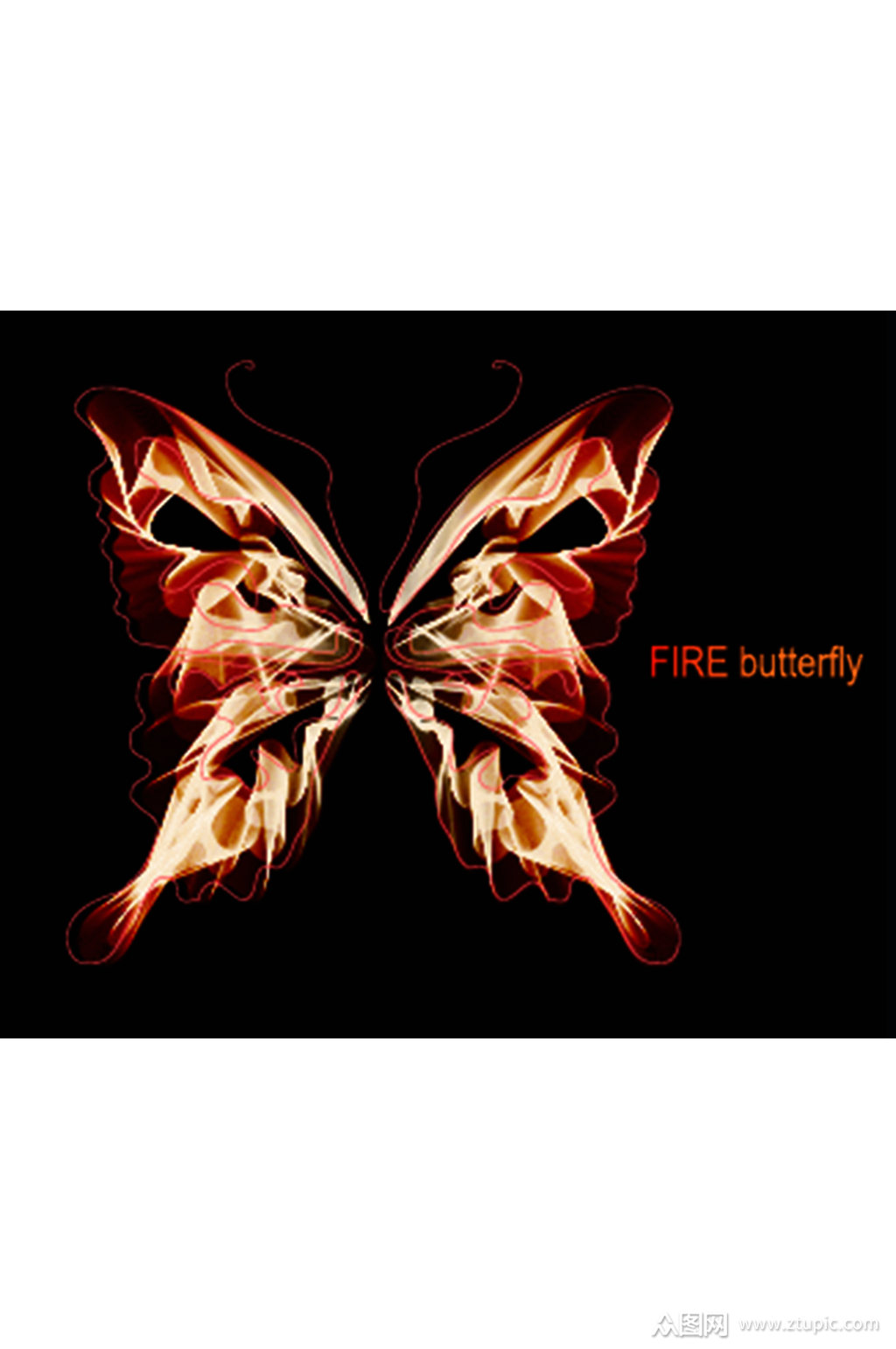 精美火焰蝴蝶矢量素材