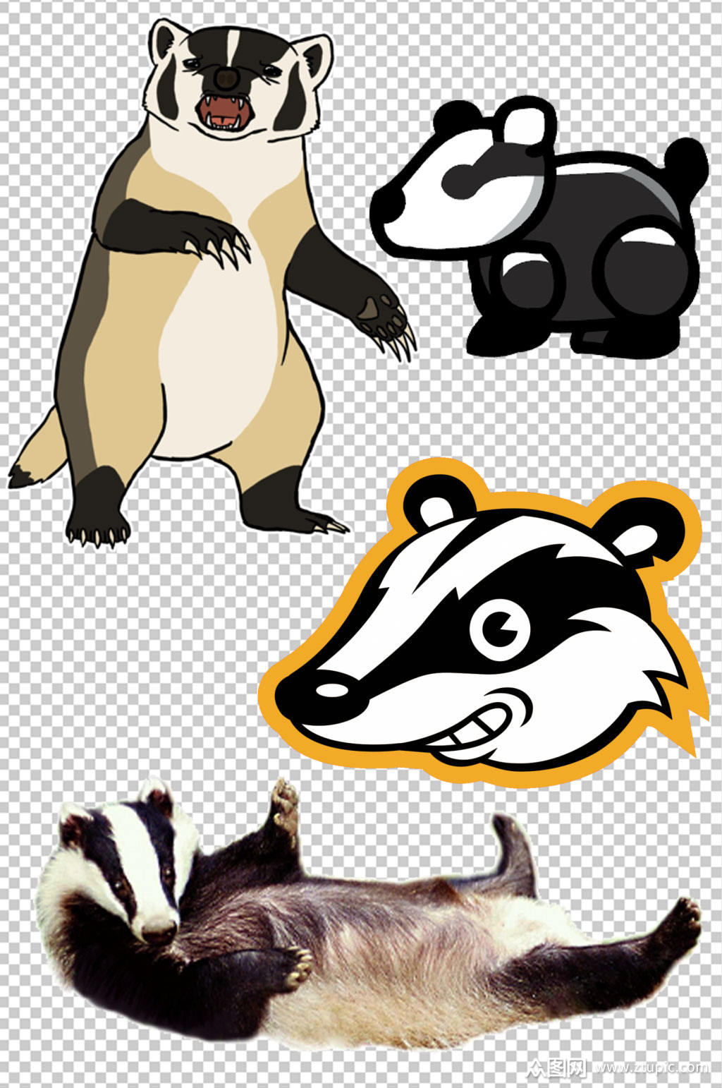 精美彩色动物蜜獾创意设计元素素材素材