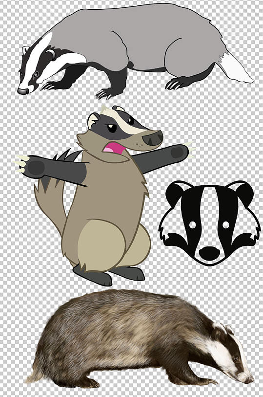 精美彩色动物蜜獾创意设计元素素材-众图网