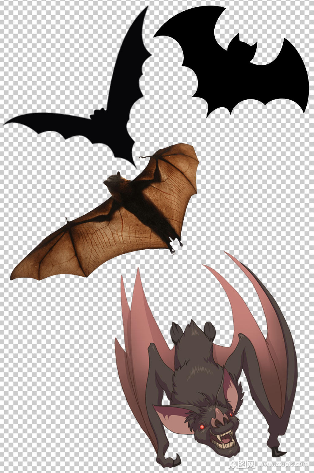 精美彩色蝙蝠设计元素素材矢量