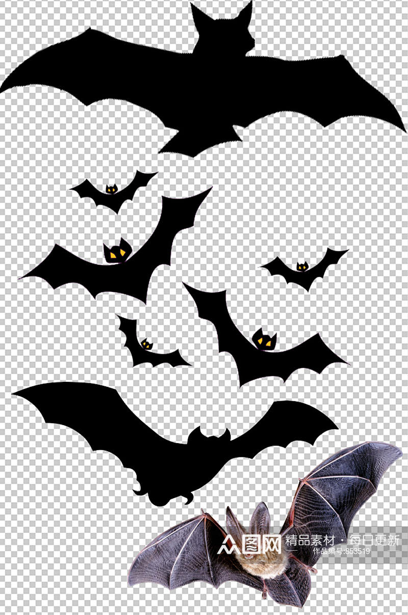 精美彩色蝙蝠设计元素素材矢量素材