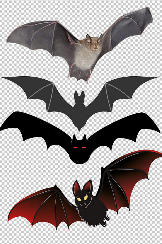精美彩色蝙蝠设计元素素材矢量