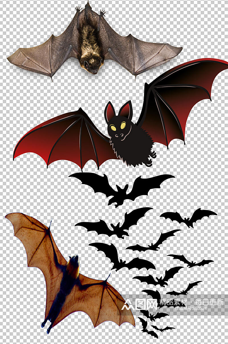精美彩色蝙蝠设计元素素材矢量素材