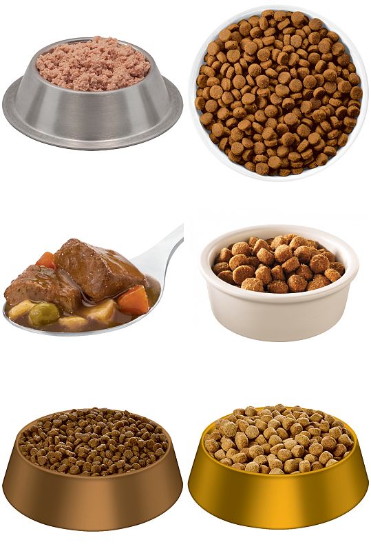 精美时尚彩色狗粮设计素材元素矢量