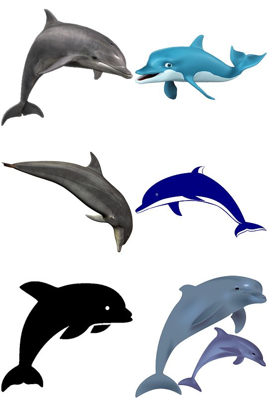 精美彩色动物海豚创意设计素材元