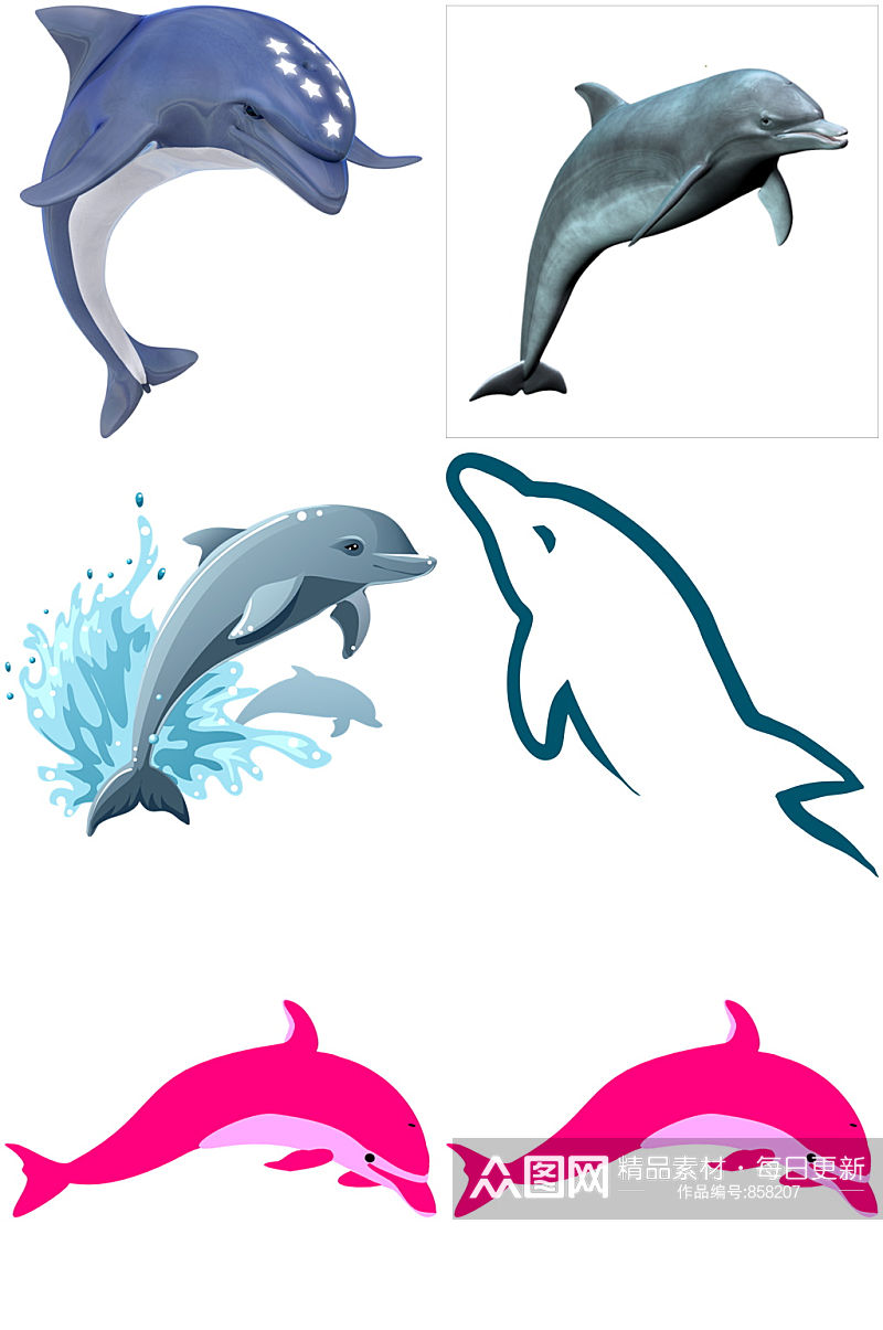 精美彩色动物海豚创意设计素材元素素材