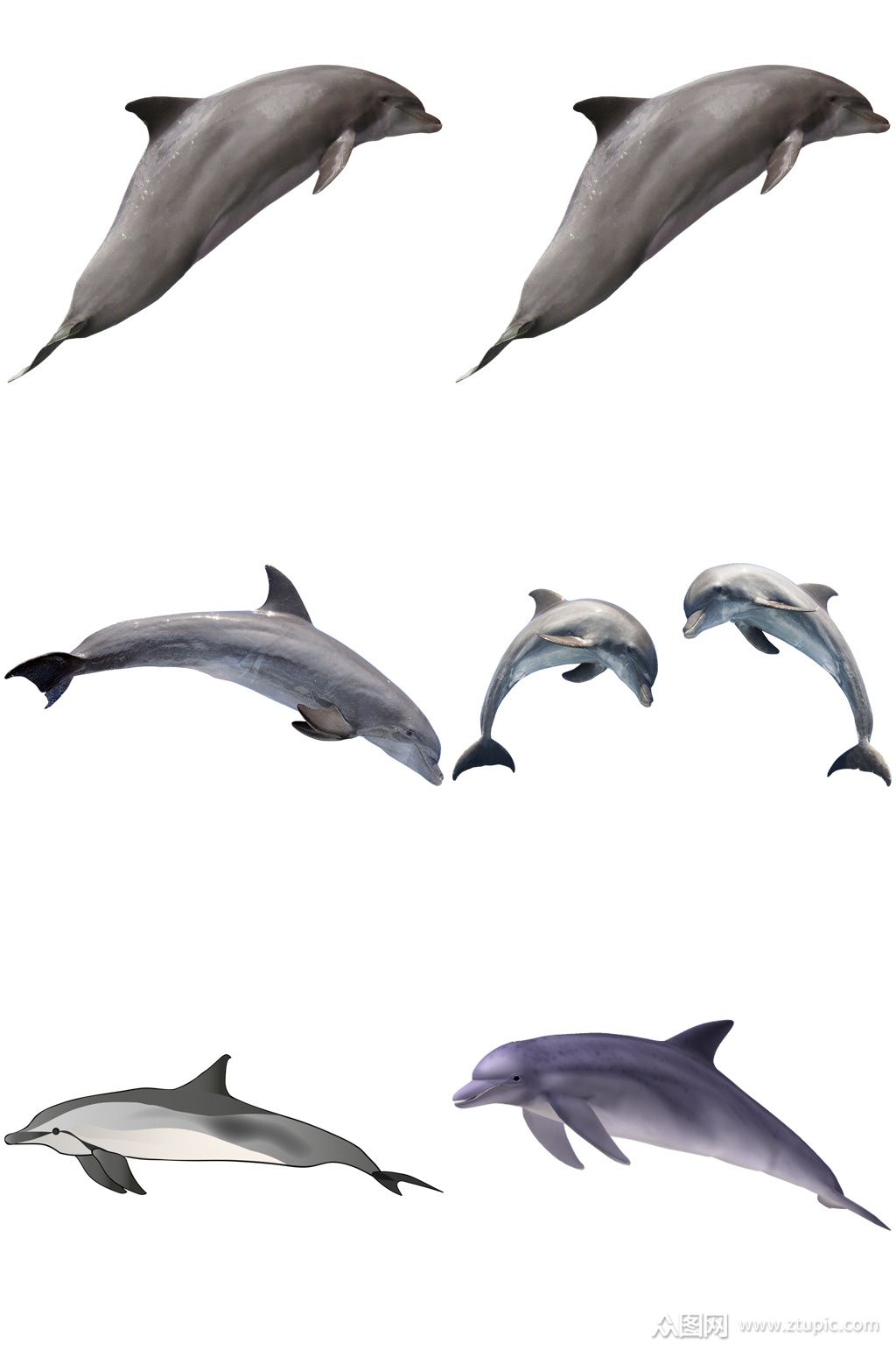 精美彩色动物海豚创意设计素材元素