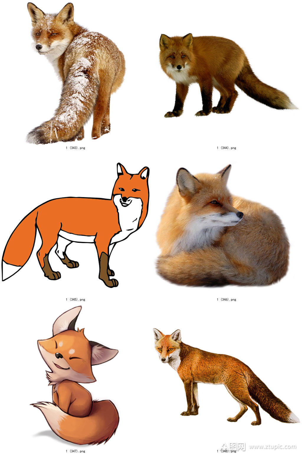 时尚彩色精美狐狸创意设计元素素材