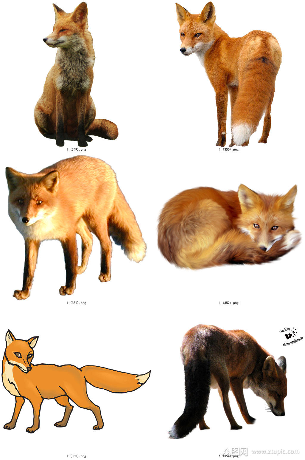 时尚彩色精美狐狸创意设计元素素材