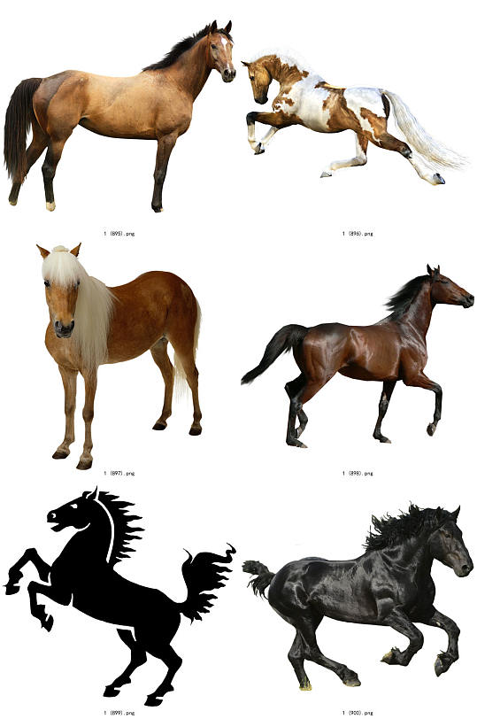 时尚彩色精美马创意设计元素素材