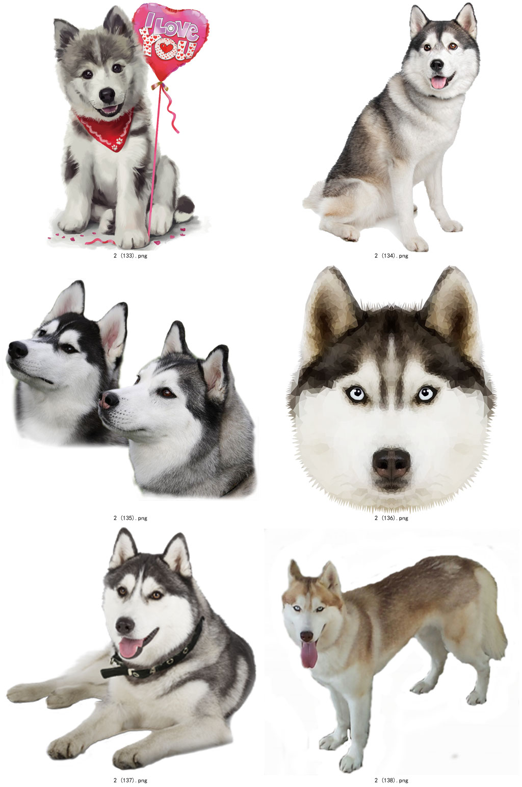 彩色精美动物哈士奇创意设计元素素材