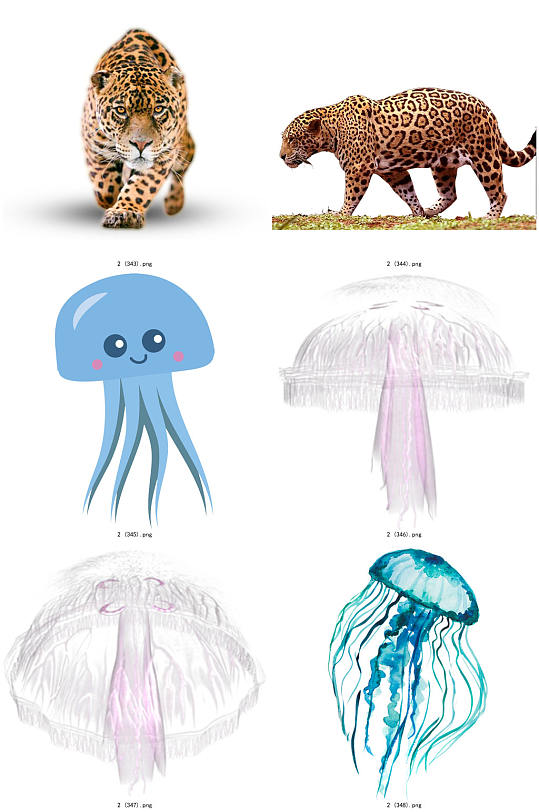 彩色精美动物水母创意设计元素素材 卡通水母