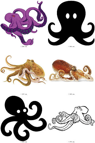 彩色精美动物章鱼创意设计元素素材