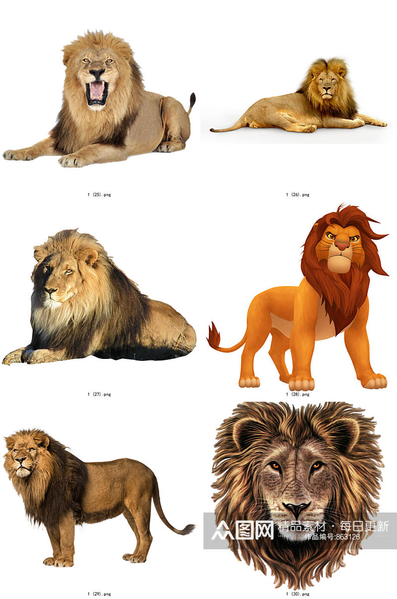 彩色精美动物狮子创意设计元素素材素材