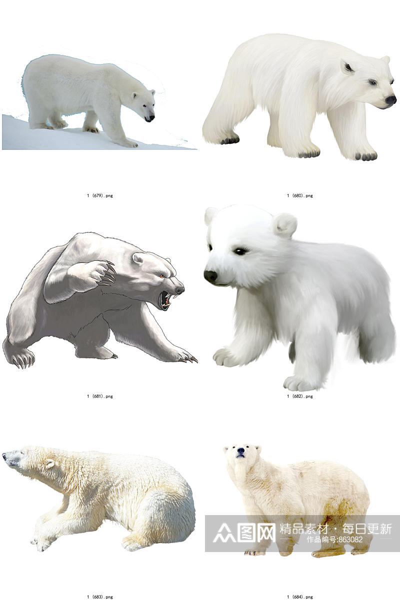 彩色精美动物北极熊创意设计元素素材素材