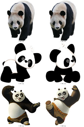 彩色精美动物熊猫创意设计元素素材