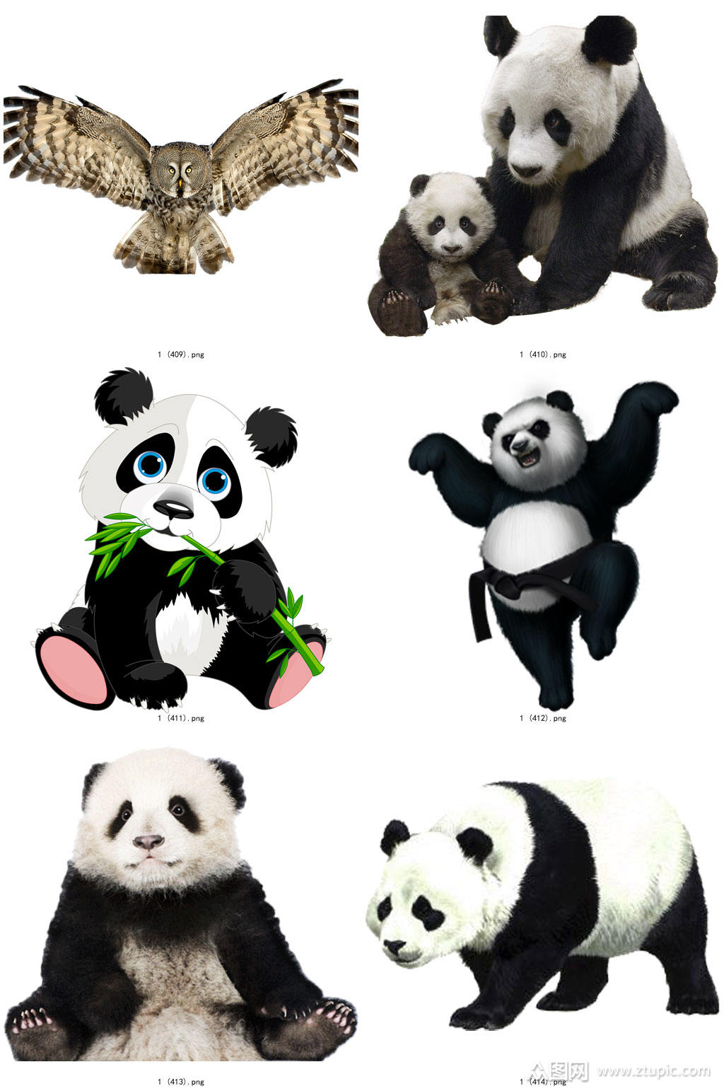 彩色精美动物熊猫创意设计元素素材