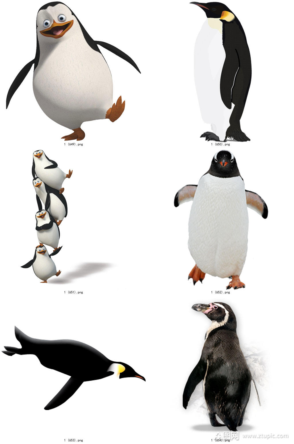 彩色精美动物企鹅创意设计元素素材