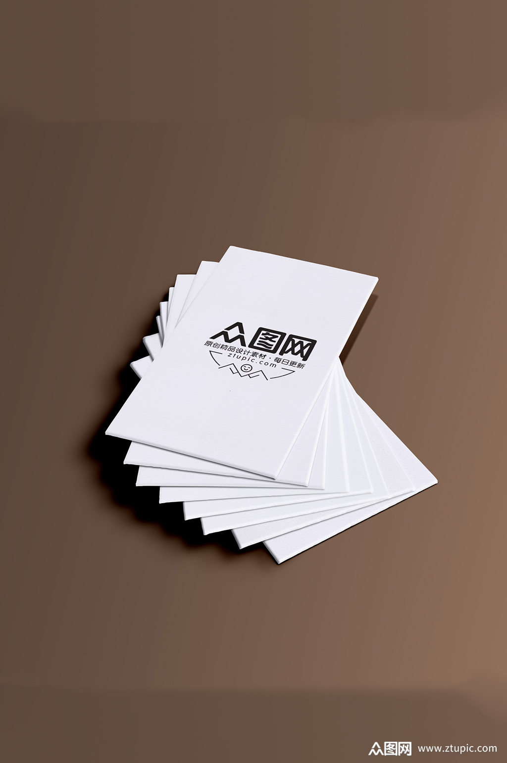 黑白名片样机效果图