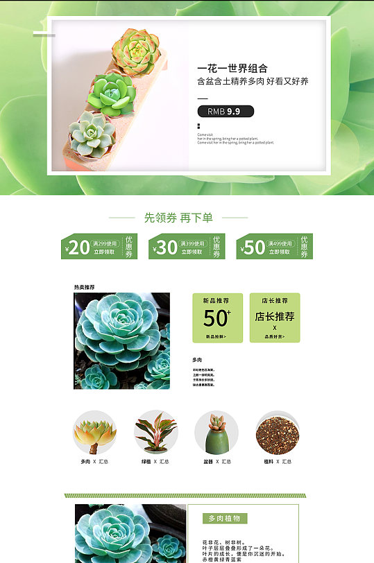 盆栽多肉植物详情页首页素材