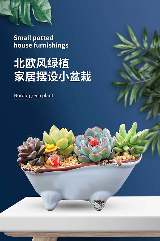 小盆栽绿植详情页