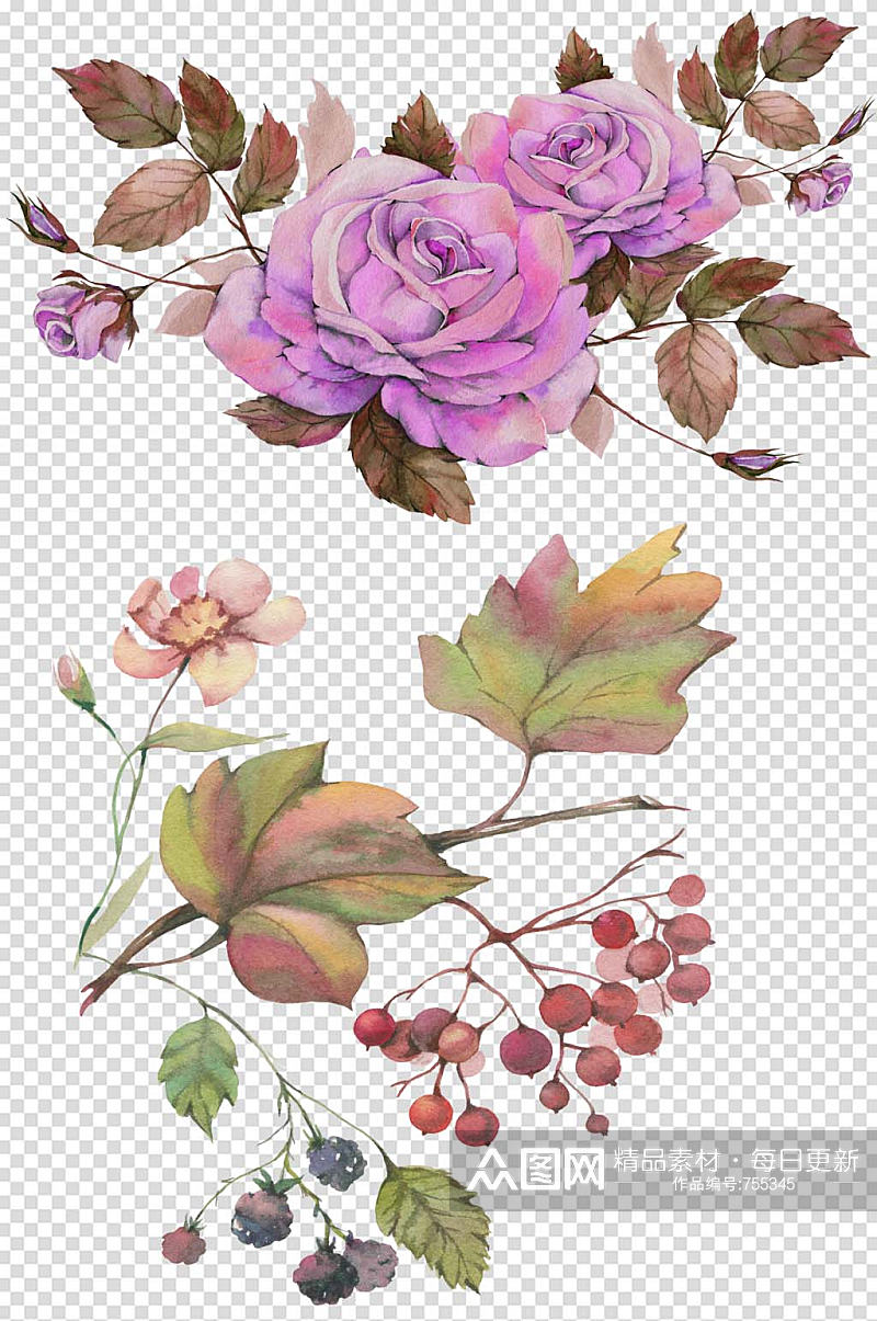 手绘水彩高清紫色玫瑰枝叶设计免抠素材