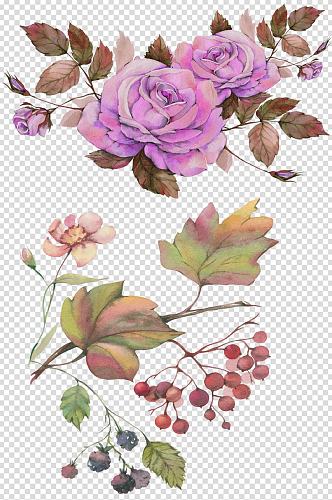 手绘水彩高清紫色玫瑰枝叶设计免抠