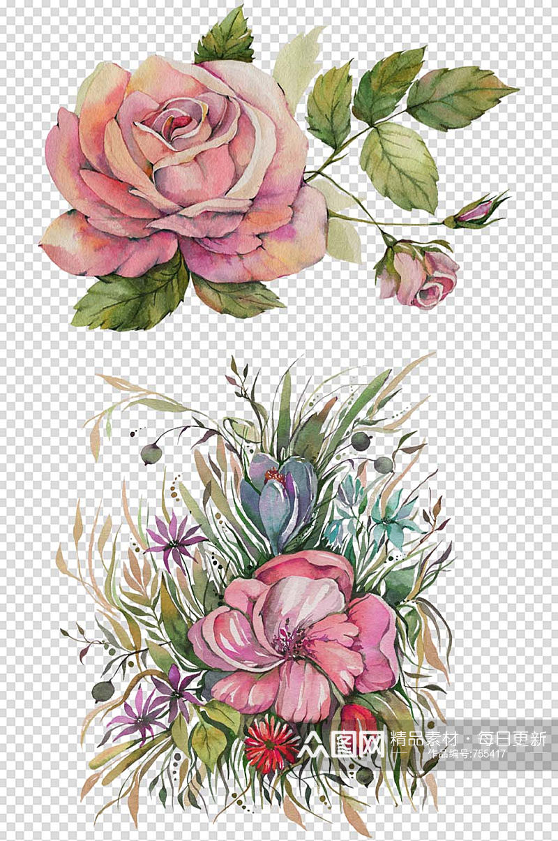 高清手绘水彩玫瑰花花卉插画免抠素材