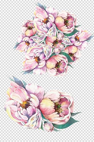 高清手绘彩铅花卉设计卡片插画装饰免扣