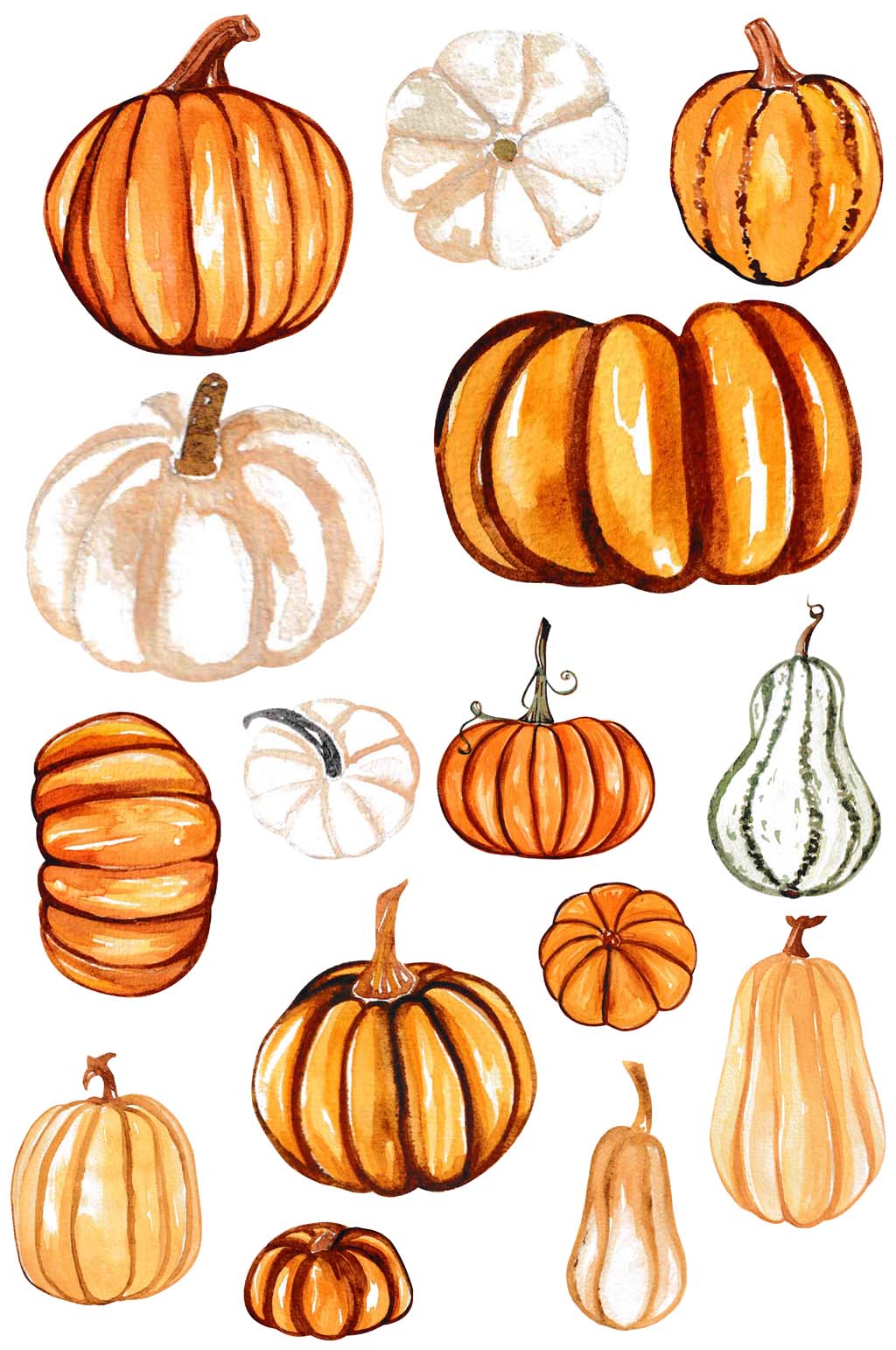秋季收获水彩手绘南瓜团免抠png素材