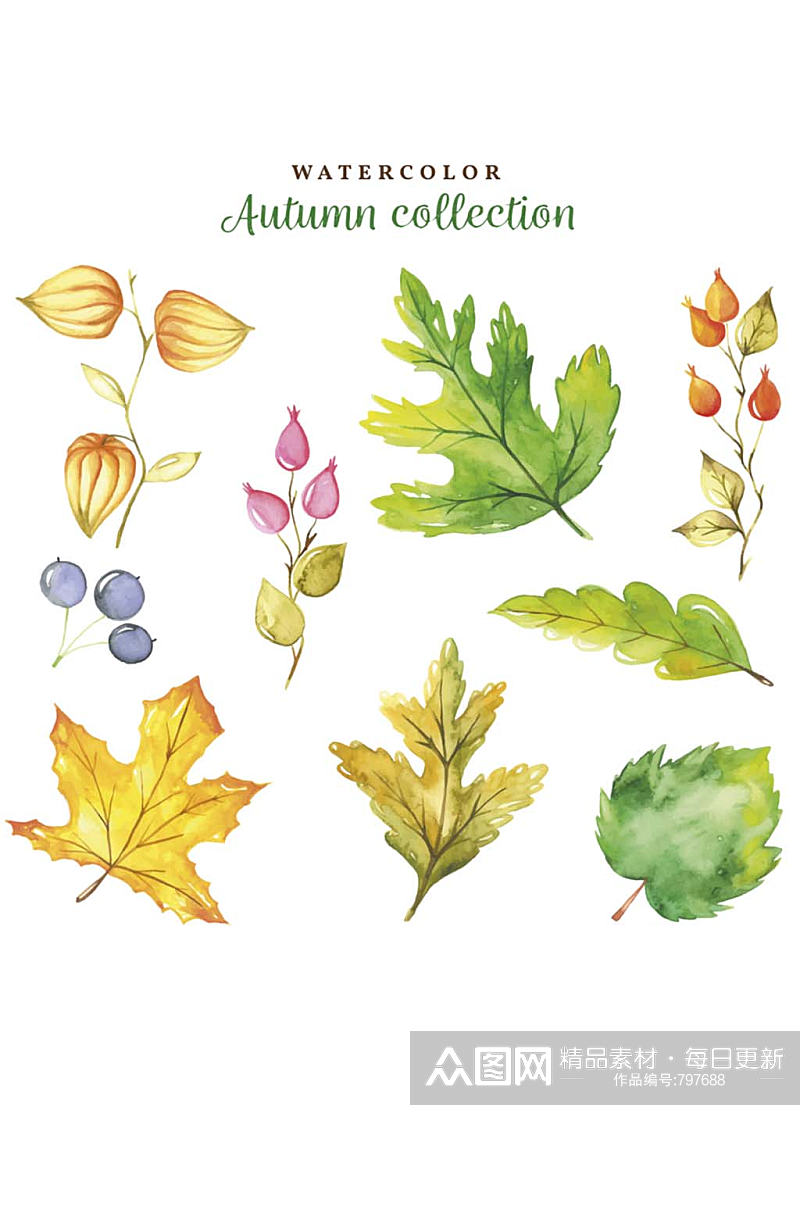 手绘水彩秋天的叶子果实卡通矢量素材素材