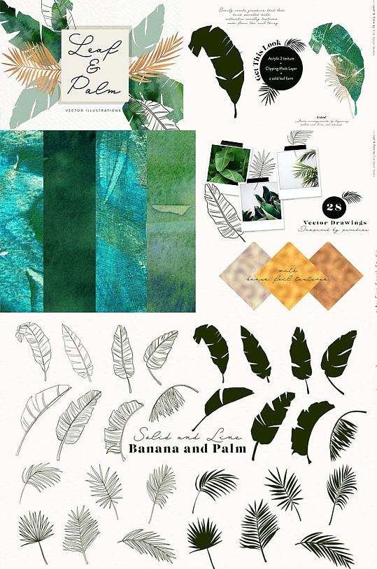 手绘水彩棕榈叶树叶免抠矢量创意设计素材
