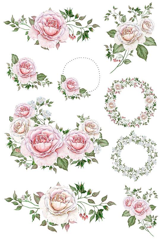 手绘玫瑰花卉枝叶花环设计免抠卡片素材