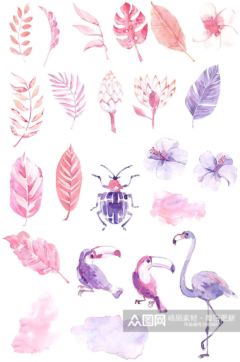 水彩粉紫色火烈鸟夏威夷免抠设计装饰素材素材
