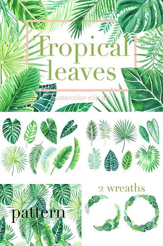 夏威夷热带棕榈叶绿色树叶装饰免抠卡片素材