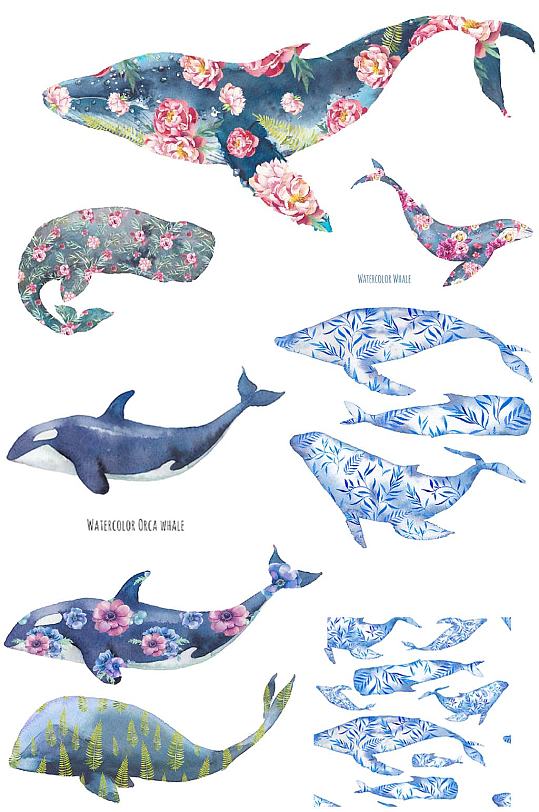 手绘水彩鲸鱼插画海报素材JPEG装饰图
