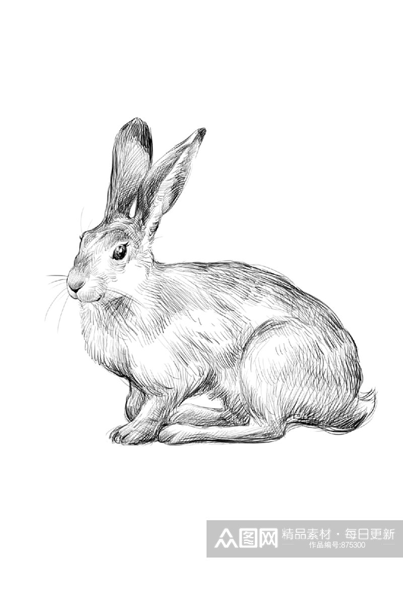 手绘黑白素描小兔子PSD插画卡片设计素材素材