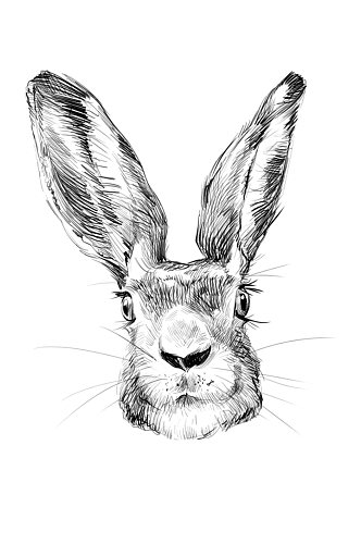 手绘黑白素描小兔子PSD插画设计素材卡片