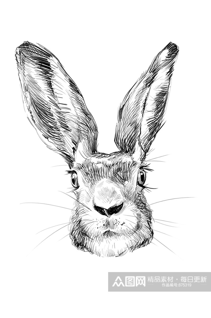 手绘黑白素描小兔子PSD插画设计素材卡片素材