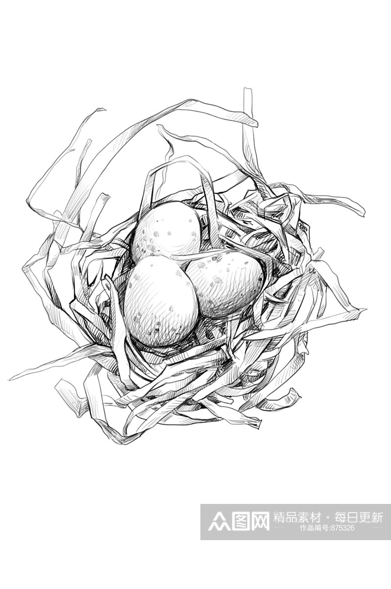 手绘黑白素描鸟窝鸟蛋复活节PSD插画设计素材