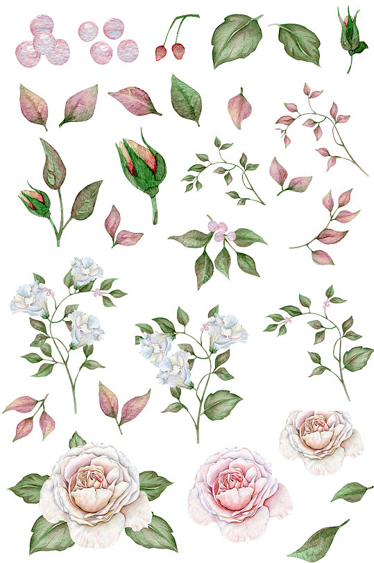 手绘森系粉色玫瑰花卉枝叶元素免抠卡片设计