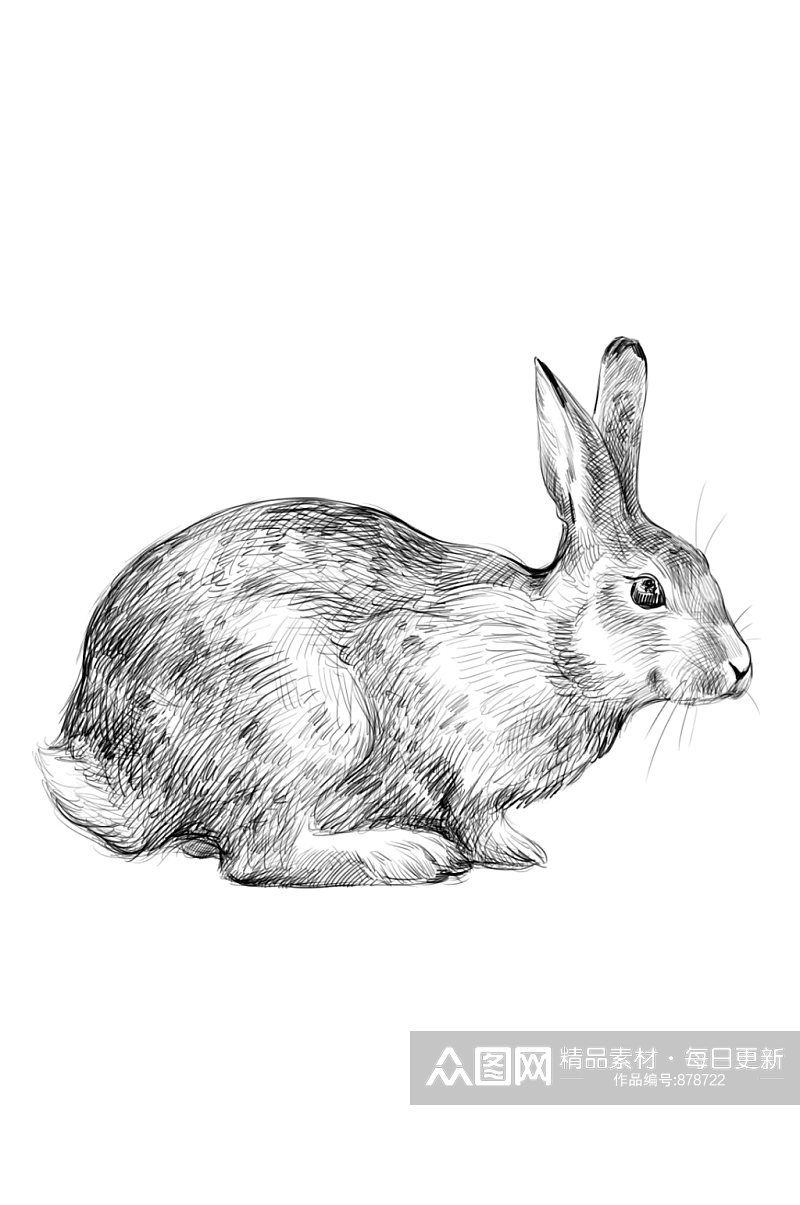 手绘黑白素描插画小兔子PSD分层设计素材素材