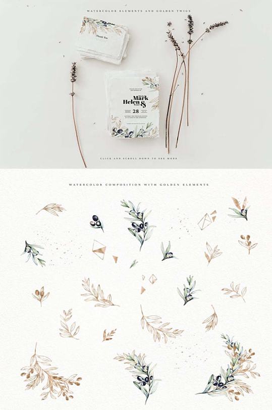 手绘水彩橄榄叶免抠卡片设计装饰元素