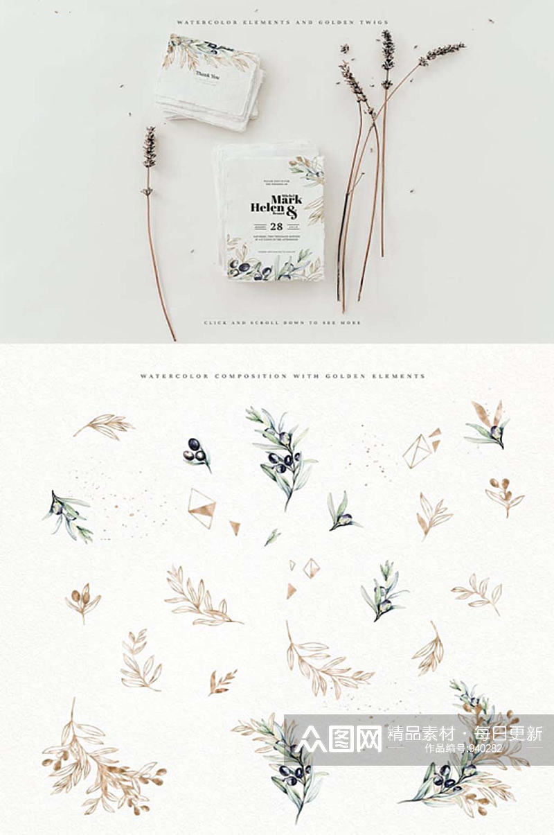 手绘水彩橄榄叶免抠卡片设计装饰元素素材