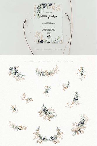 手绘橄榄叶花卉免抠设计婚礼卡片装饰素材