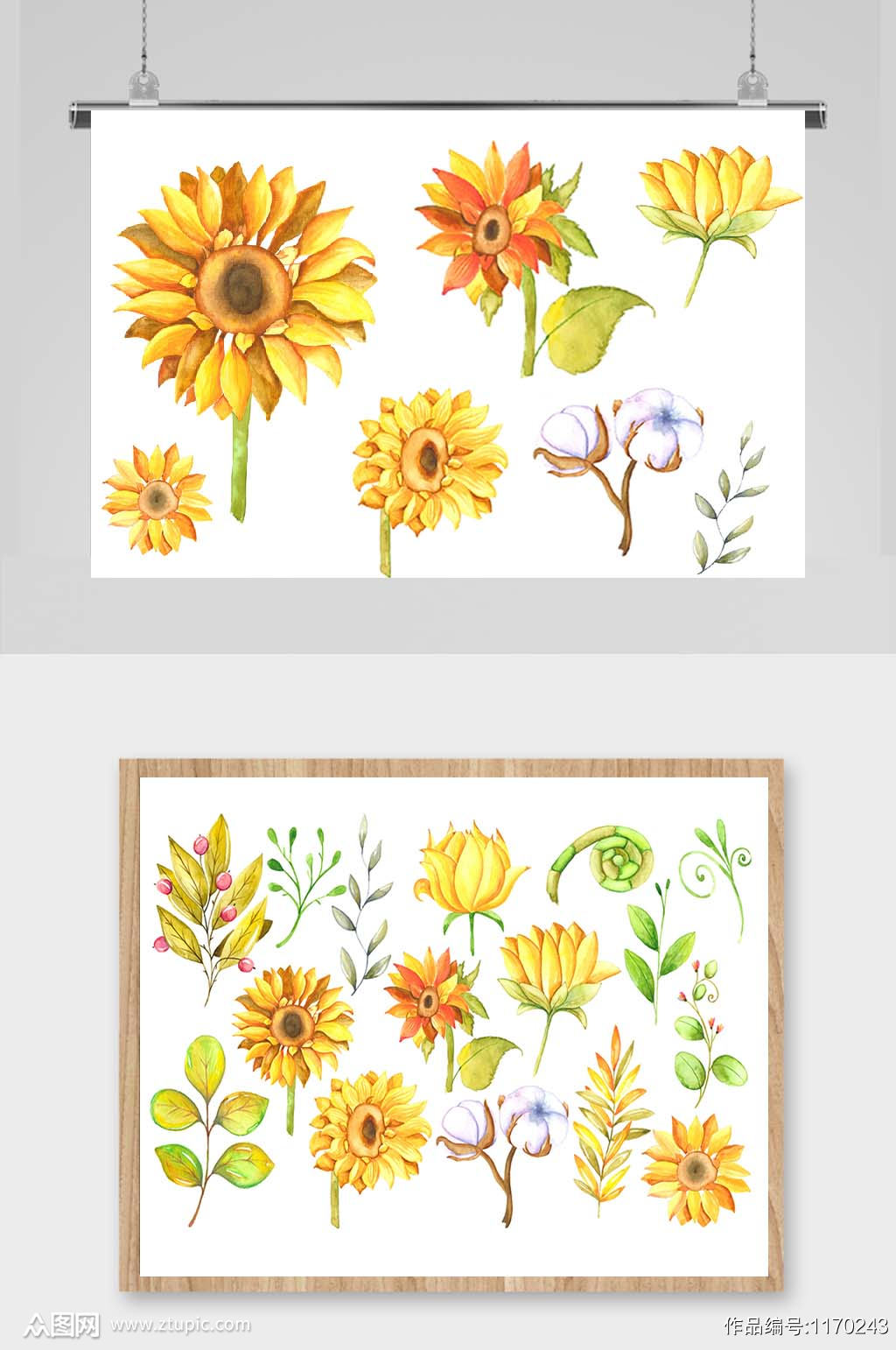 手绘水彩向日葵木棉花矢量eps花卉设计模板下载 编号 众图网 手绘水彩向日葵木棉花矢量eps花卉设计模板下载 编号 众图网