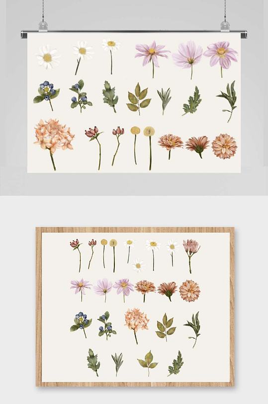 手绘水彩复古花朵花卉树叶免抠矢量设计素材