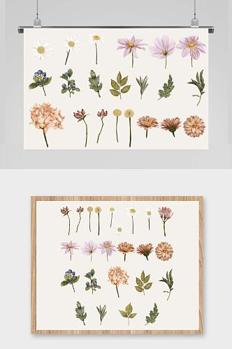 手绘水彩复古花朵花卉树叶免抠矢量设计素材
